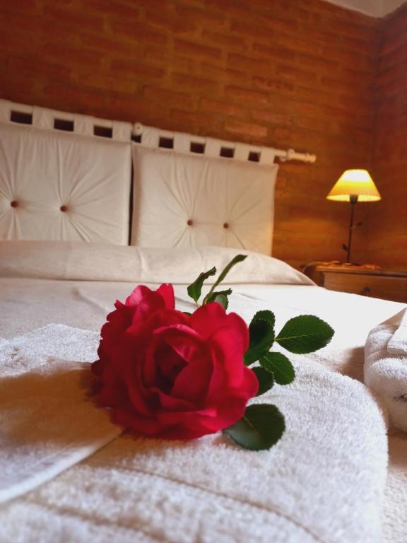 a red rose sitting on top of a bed at Casa El Tabaquillo in Nono