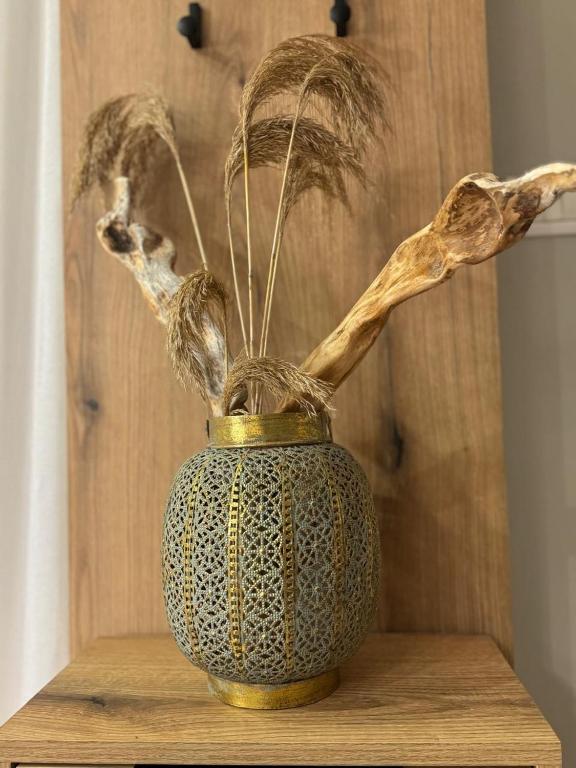 Fotografie z fotogalerie ubytování Lemon Breeze Studio in Shkodra v destinaci Shkodër