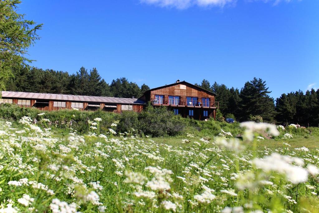 Príroda v okolí of the bed and breakfast