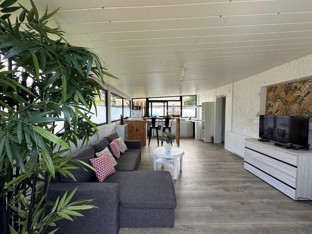 un salon avec un canapé et une télévision dans l'établissement Logement agréable sur Le Teich, au Teich