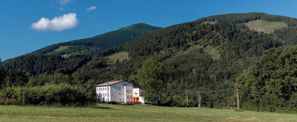 a house in a field in front of a mountain at Retro Hotel JISKRA in Čeladná