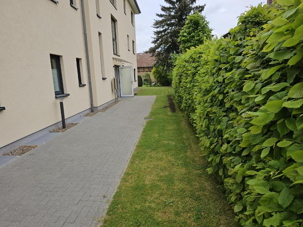 Zahrada ubytování FeWo Lüneburger Heide - Krümel