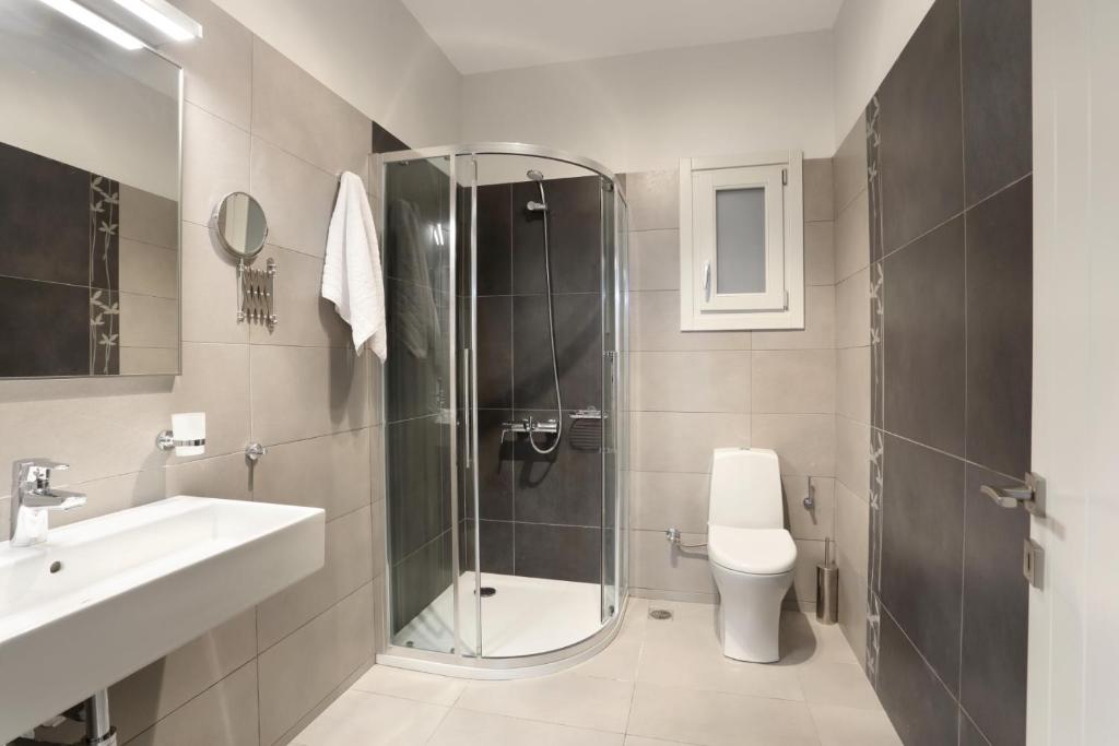 a bathroom with a shower and a toilet and a sink at Aithra -Agios Petros Andros in Gavrio