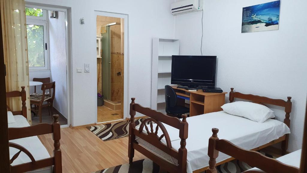 TV a/nebo společenská místnost v ubytování Guesthouse Sinani