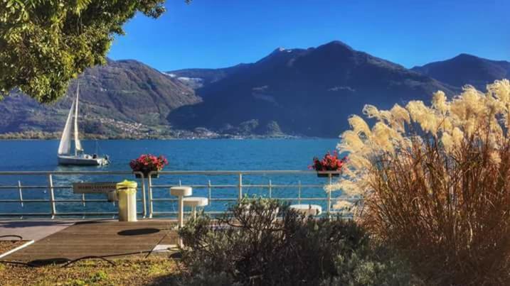 Naturlandskabet i nærheden af lejligheden