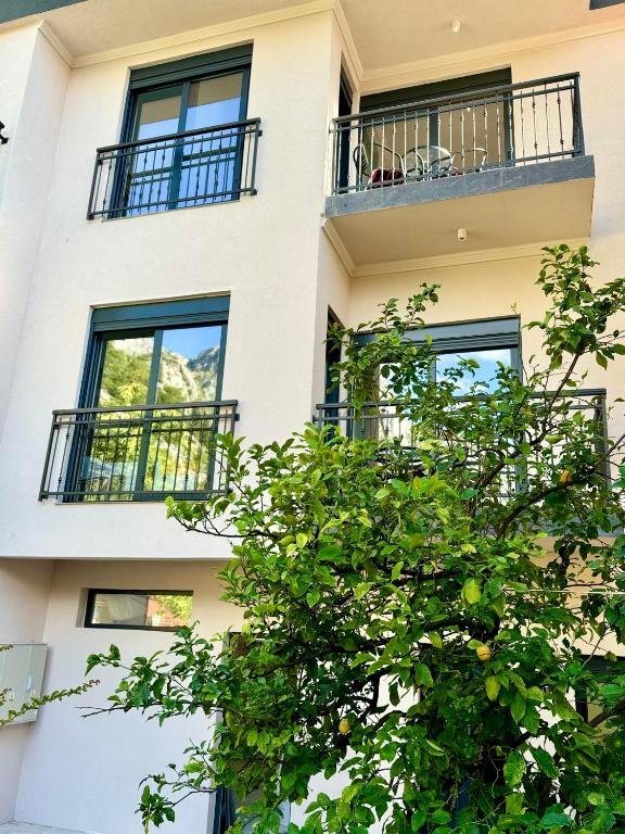 Harmony Garden Apartments - 18