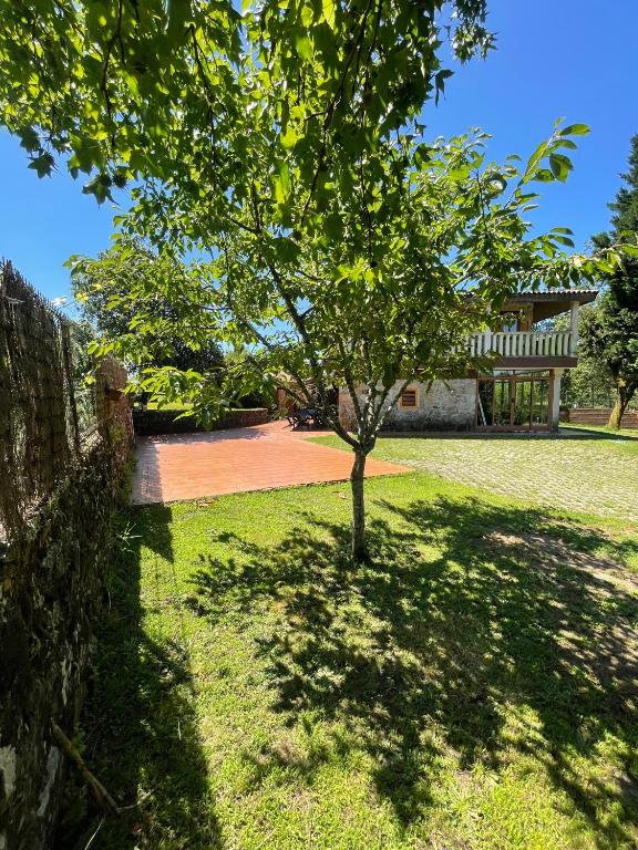 A garden outside A Leira