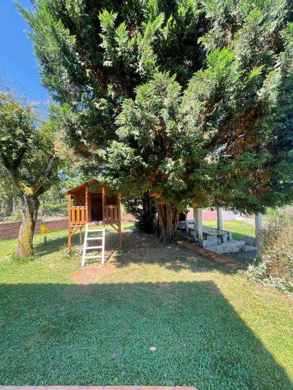 A garden outside A Leira