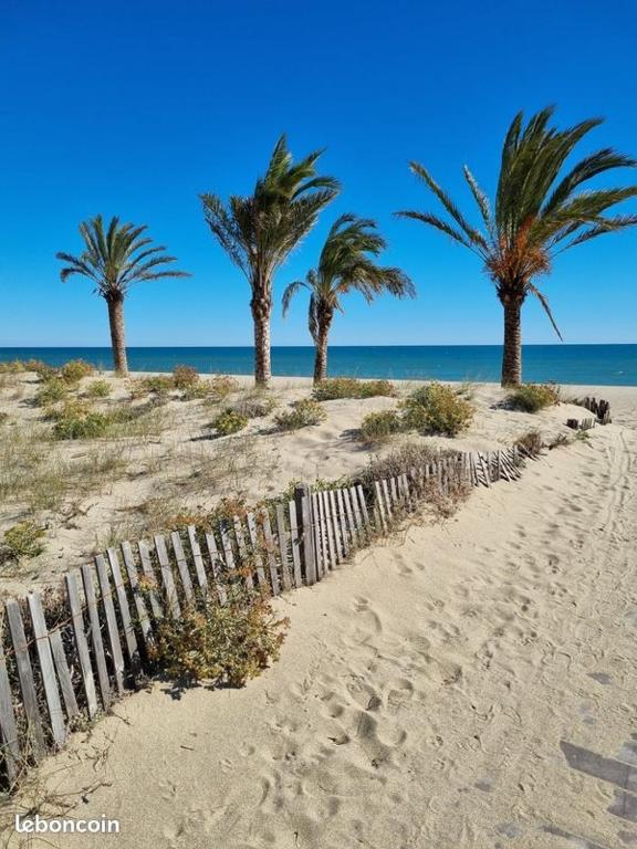 trois palmiers sur une plage de sable avec une clôture dans l'établissement Logement de plein pied tout confort, au Barcarès
