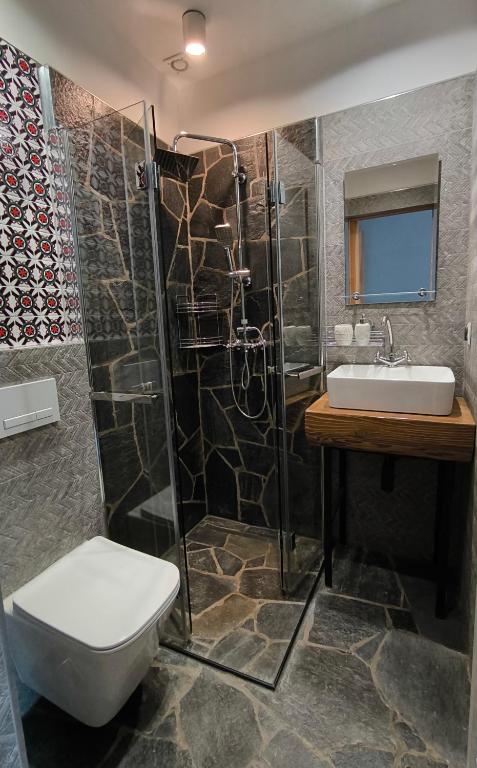 un bagno con doccia, WC e lavandino di Gościniec Karpacka Dusza a Szczawnica