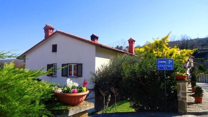 a white house with a flower pot in front of it at Apartma Vitez in Izola
