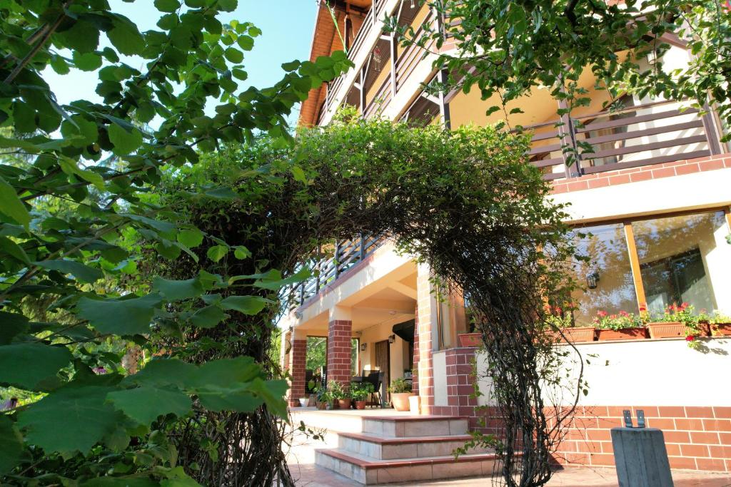 Zahrada ubytování Casa Stefandra