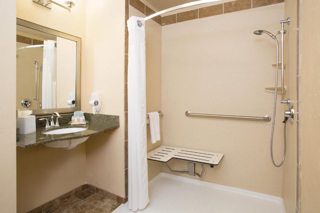 a bathroom with a shower and a sink at Holiday Inn & Suites Durango Downtown by IHG in Durango