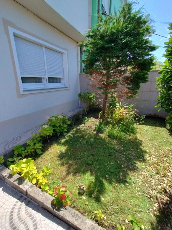 a small tree in a yard next to a house at Apartamento Lago Pereira in Muxia