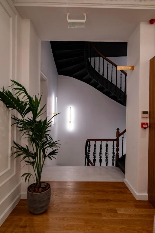 Athens Icon Collection - Resim 20