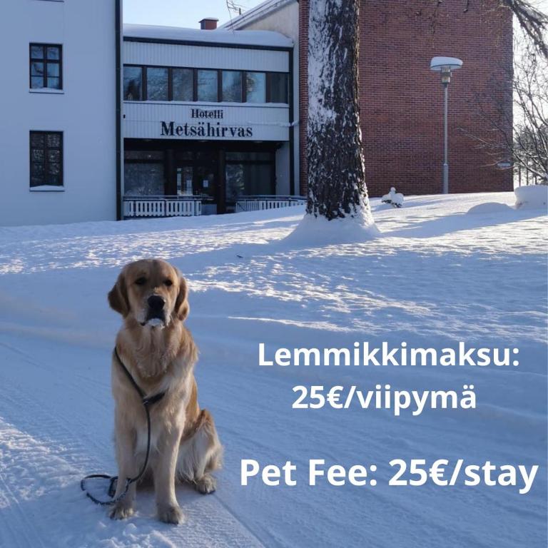 Domácí mazlíčci ubytovaní s hosty v ubytování Hotel Metsähirvas