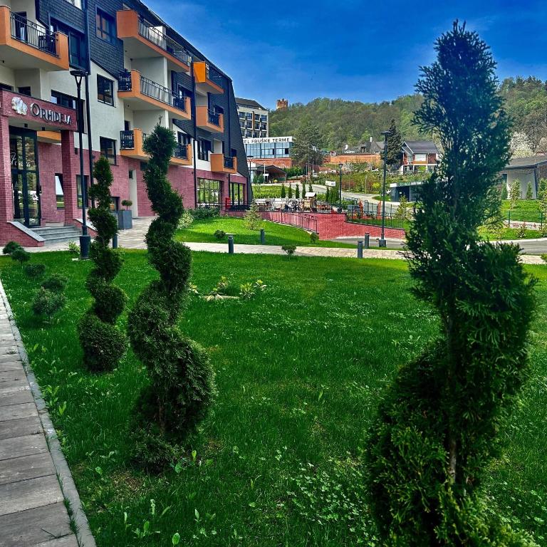 Vrt ispred objekta Fruške 202 studio apartman