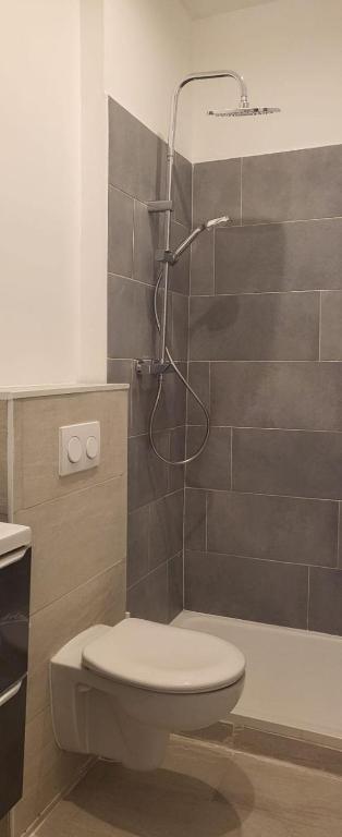 une salle de bain avec toilettes et douche dans l'établissement Marseille Longchamp, à Marseille