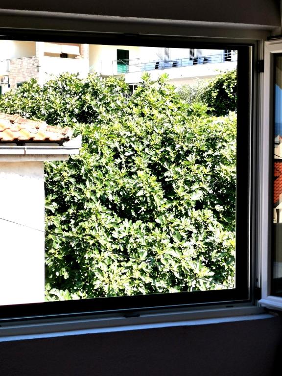 Zahrada ubytování Apartmani Rudelj