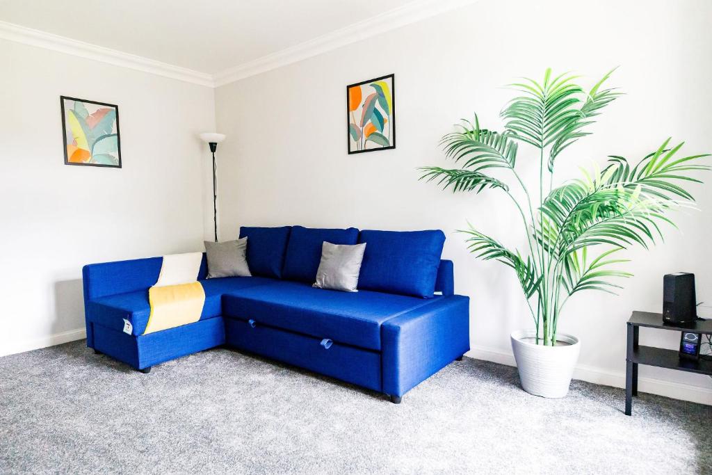 a blue couch in a living room with a plant at 2Bed Garden & Private Parking Near A19 - Perfect for Contractors in Pallion