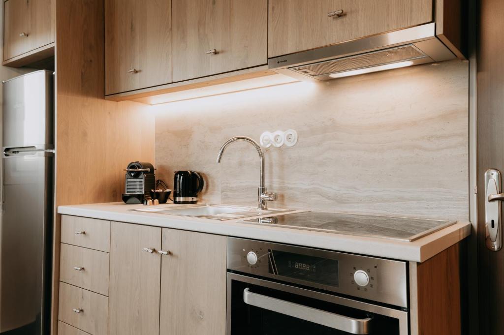 Kuchyň nebo kuchyňský kout v ubytování ALS COMFORT SUITES