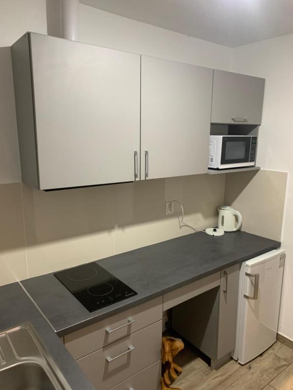 Kuchyňa alebo kuchynka v ubytovaní Apartamenty Wakacyjna Wioska Ngô 20m od Suntago