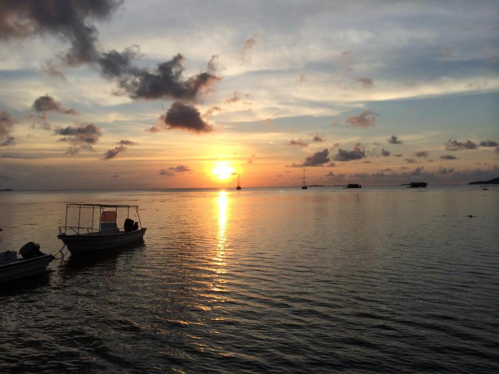 Naturlandskabet i nærheden af ferieparken