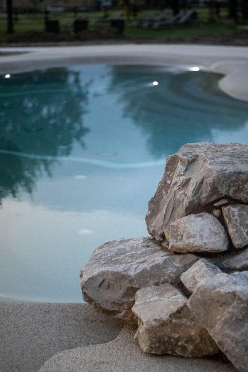 Bazén v ubytování Agriturismo Albafiorita nebo v jeho okolí