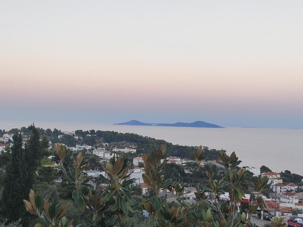 vista su una città e sull'oceano di Kitrino Spiti Best View Eco Villa a Patitiri