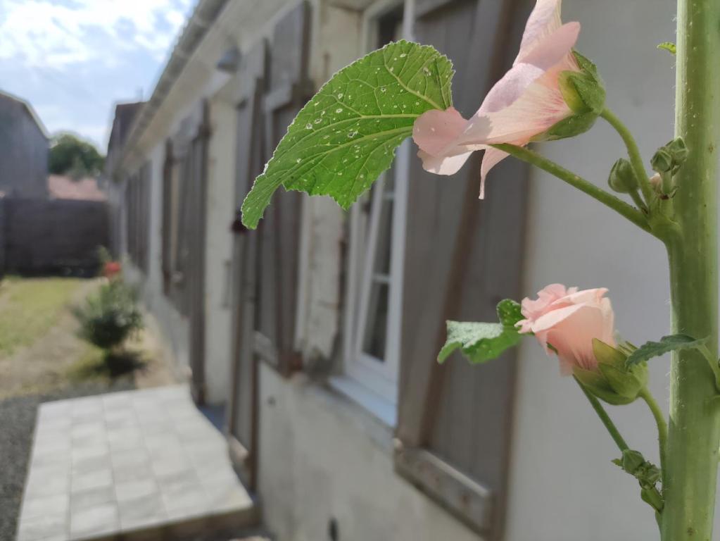Vonkajšia záhrada v ubytovaní La cachette maison de ville
