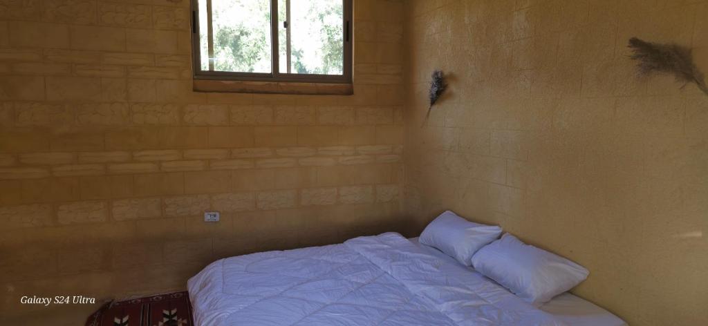 Dana historic village - Economy Double Room