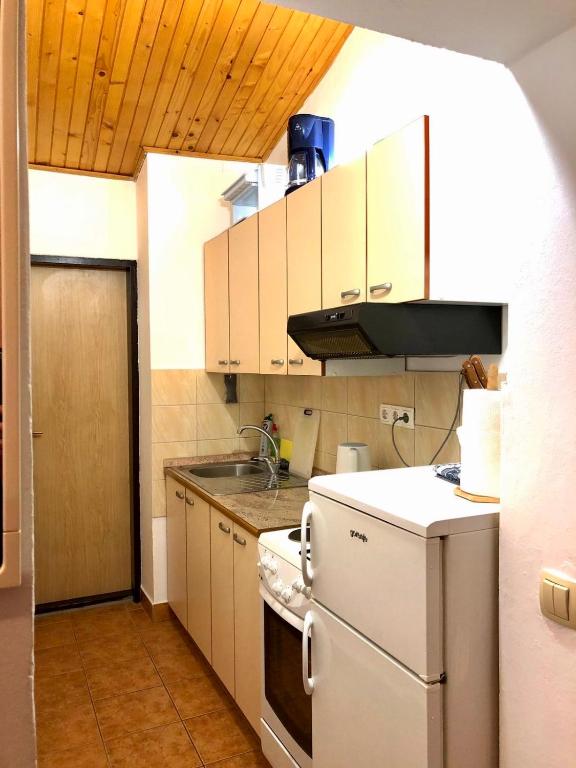 Kuchyň nebo kuchyňský kout v ubytování Apartment Aida