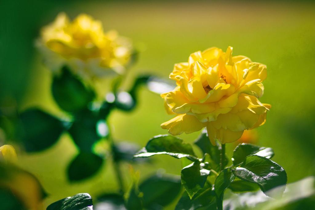 Hotel Giorgio - Resim 11