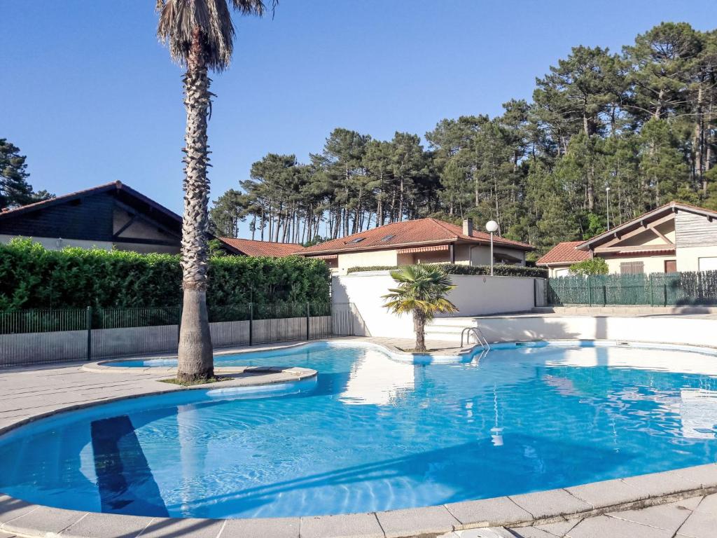 - une piscine avec un palmier dans la cour dans l'établissement Holiday Home Bosquet aux Ecureuils by Interhome, à Capbreton