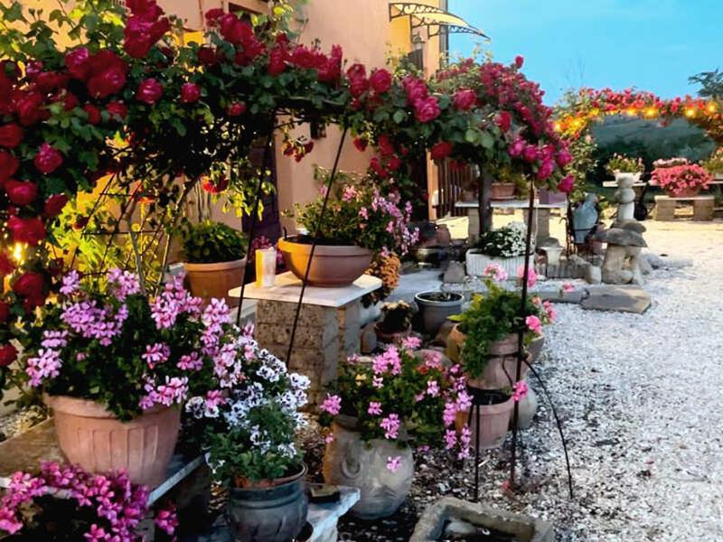 Vonkajšia záhrada v ubytovaní B&B Aesis La Dolce Collina