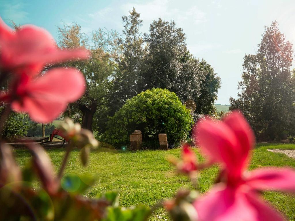 Vonkajšia záhrada v ubytovaní B&B Aesis La Dolce Collina