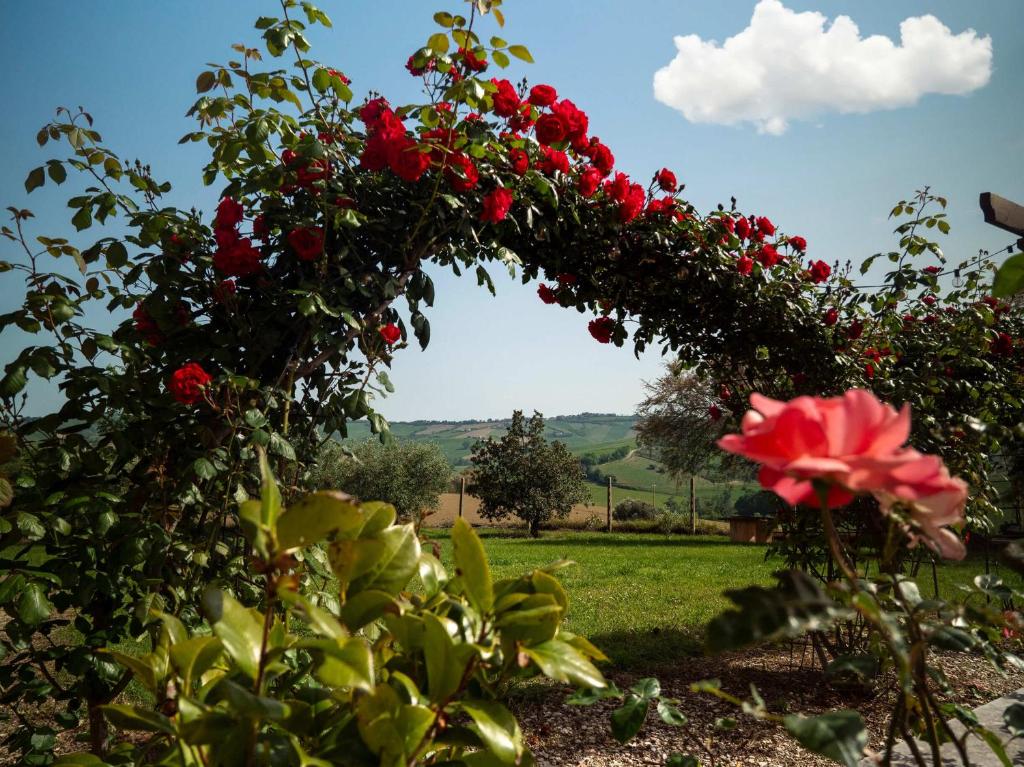 Vonkajšia záhrada v ubytovaní B&B Aesis La Dolce Collina