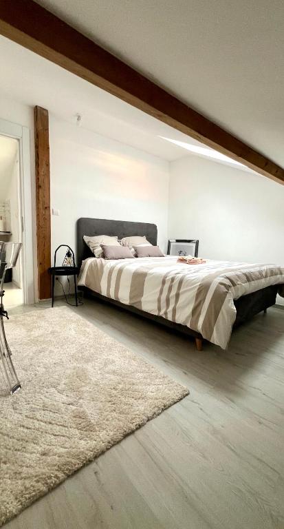 une chambre avec un grand lit avec un tapis dans l'établissement Appartement Neuf,épuré et bien placé, à Mulhouse