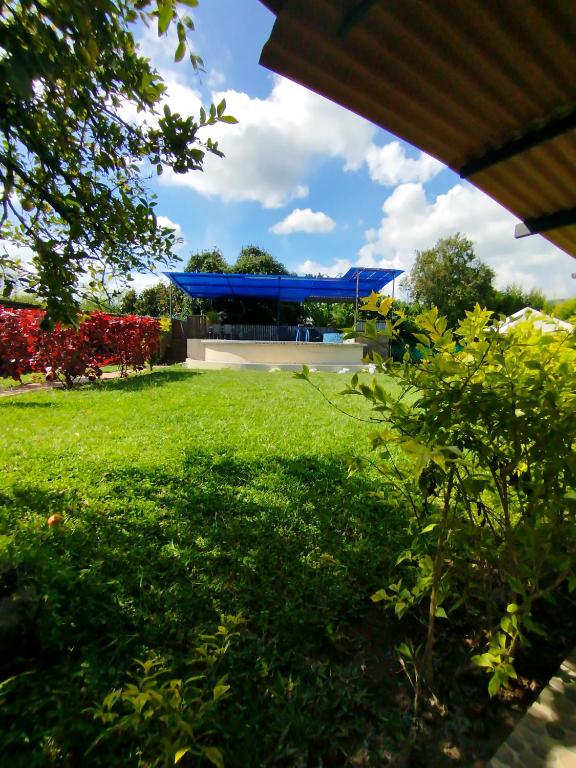 Zahrada ubytování Mountain View Hostel