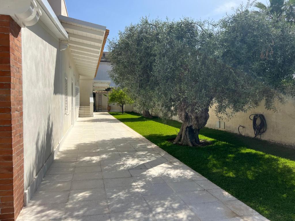Vonkajšia záhrada v ubytovaní Villa Flavia