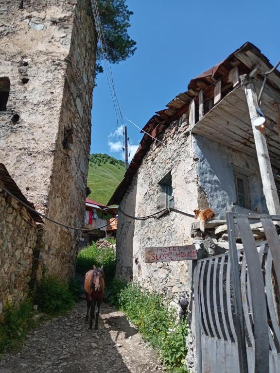 Jízda na koni v penzionu nebo okolí