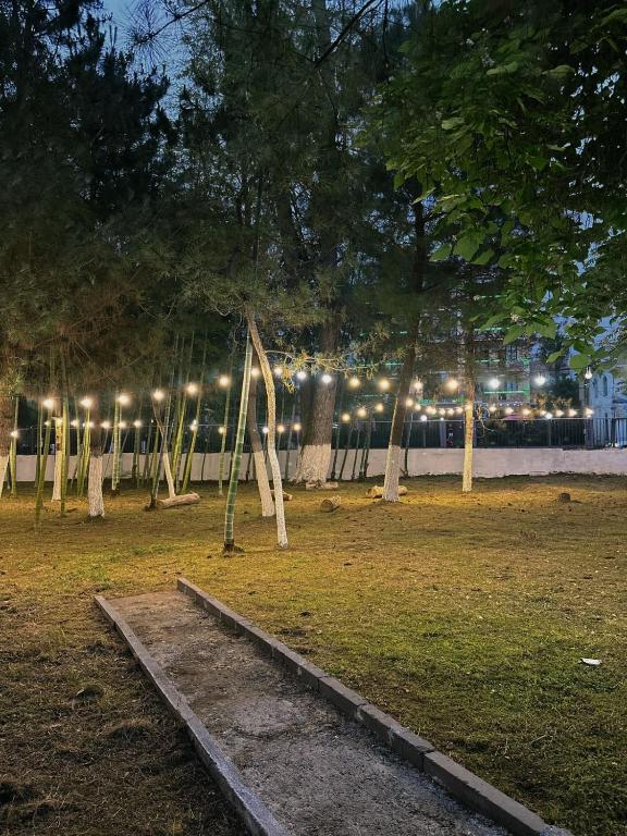 Zahrada ubytování Hotel Solidarity