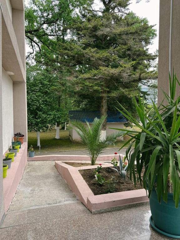 Zahrada ubytování Hotel Solidarity
