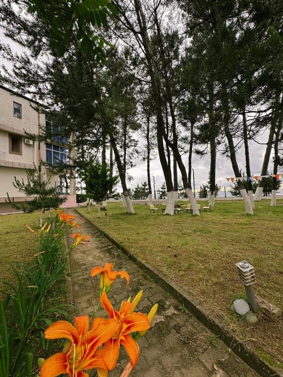 Zahrada ubytování Hotel Solidarity