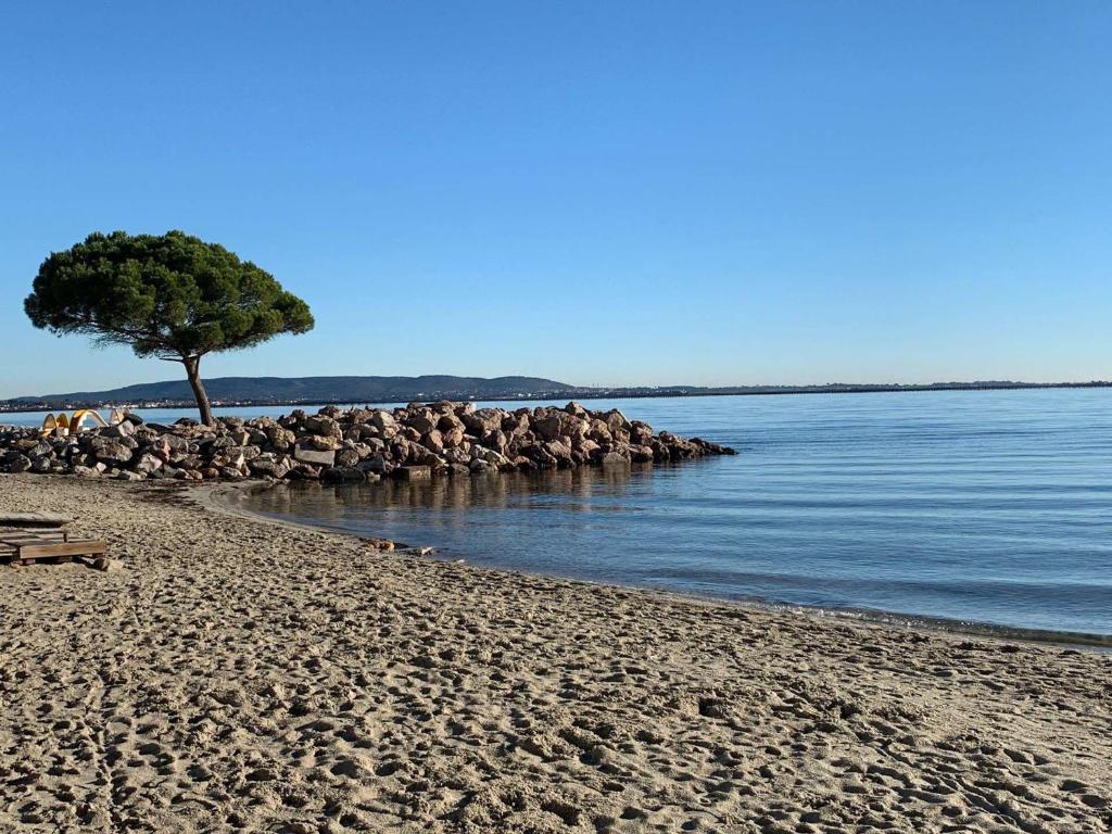 - une plage avec un arbre et l'eau dans l'établissement Appartement Duplex à Mèze avec Terrasse et Garage Proche Port et Plage - 2 Clés - FR-1-604-30, à Mèze