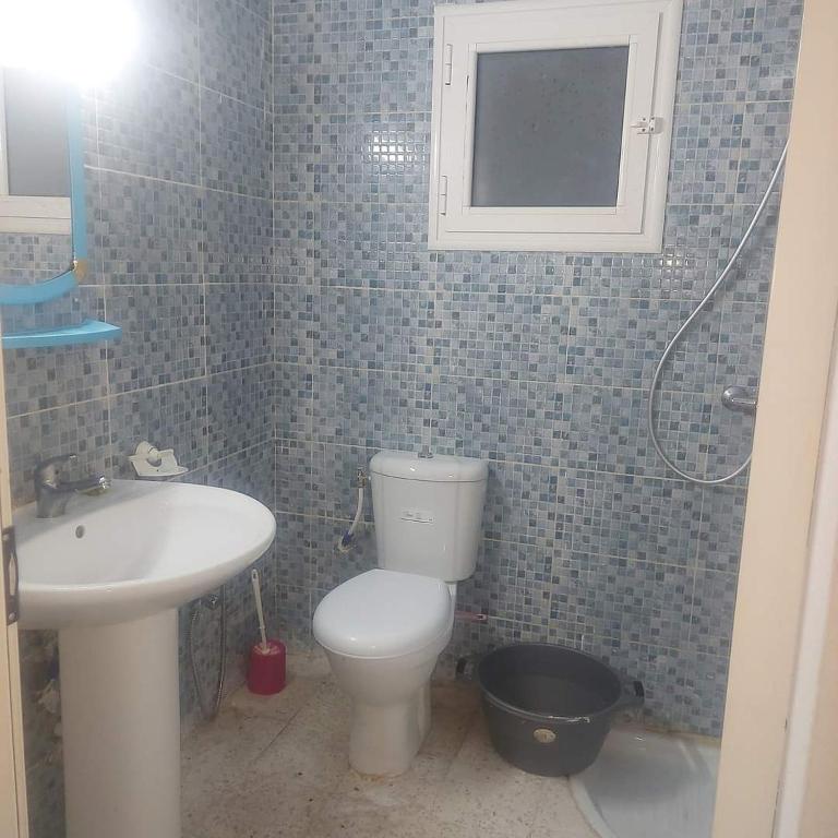 Un baño con inodoro, lavabo y espejo. en country side House, en Irbid