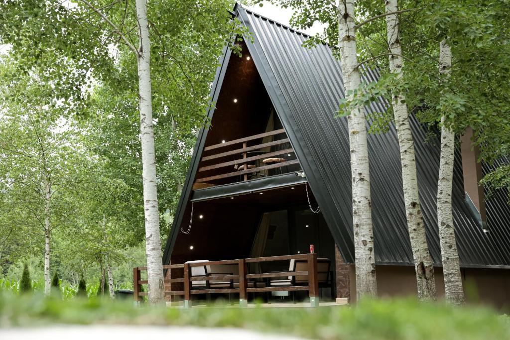 una casa en el bosque con un techo negro en Miletic Villas, en Despotovac