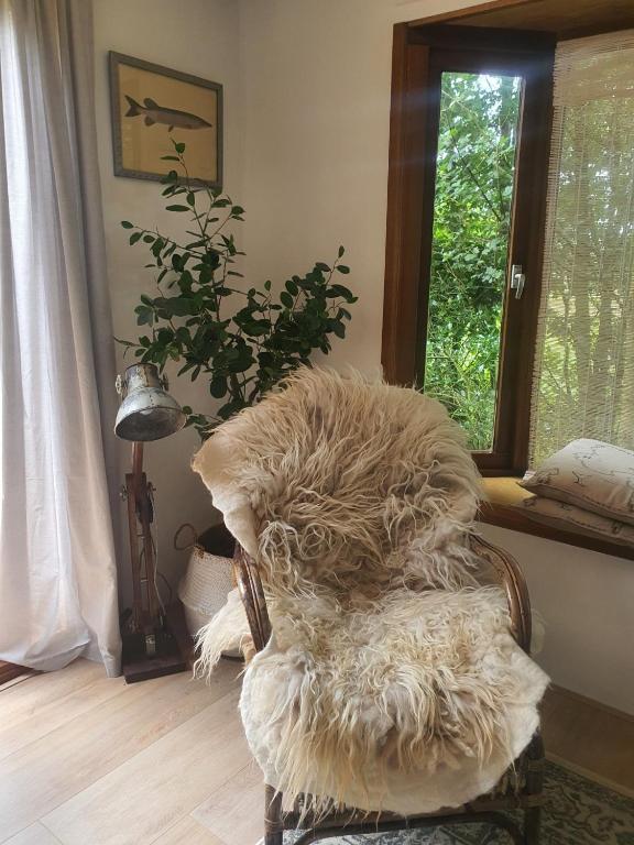 Posezení v ubytování Chalet het Gewei