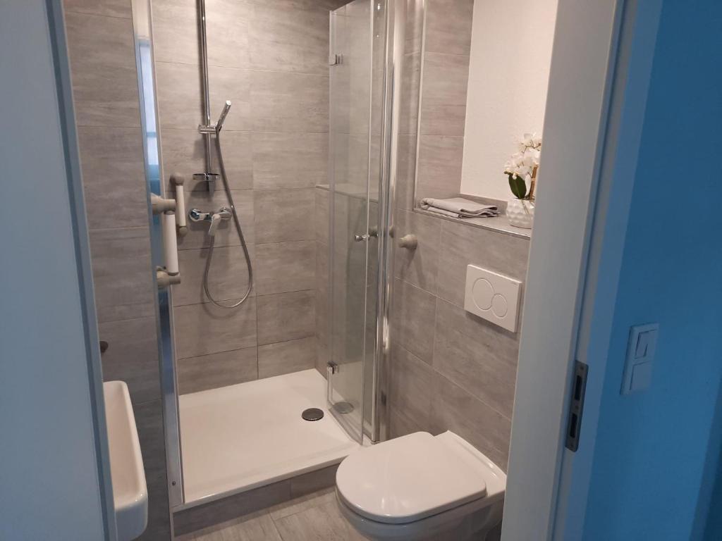 a bathroom with a shower and a toilet at Ferienhaus Holzminden in Holzminden