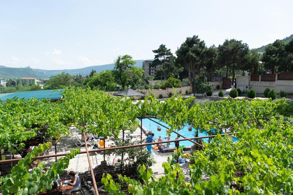 Bazén v ubytování Hotel Veranda nebo v jeho okolí